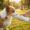 Portable 2-in-1 Pet Feeding Bowl And Water Dispenser For Outdoor Travel (1 Pc)