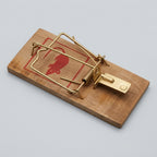 Wooden Mouse Rat Traps (1 Pc)